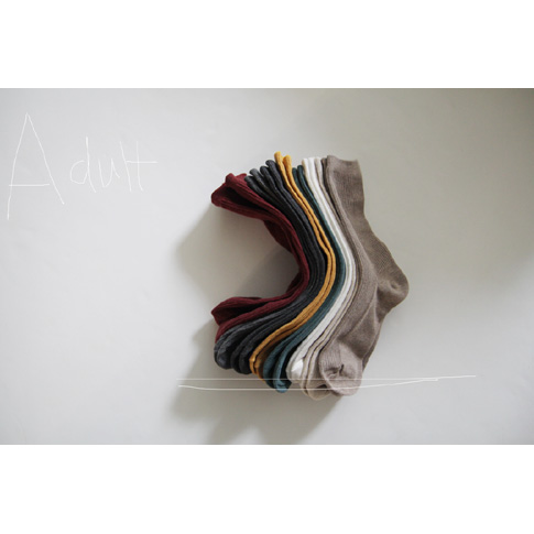 Adult &gt; 데이 양말 2 -  11  color  ( 220 - 250 ) 